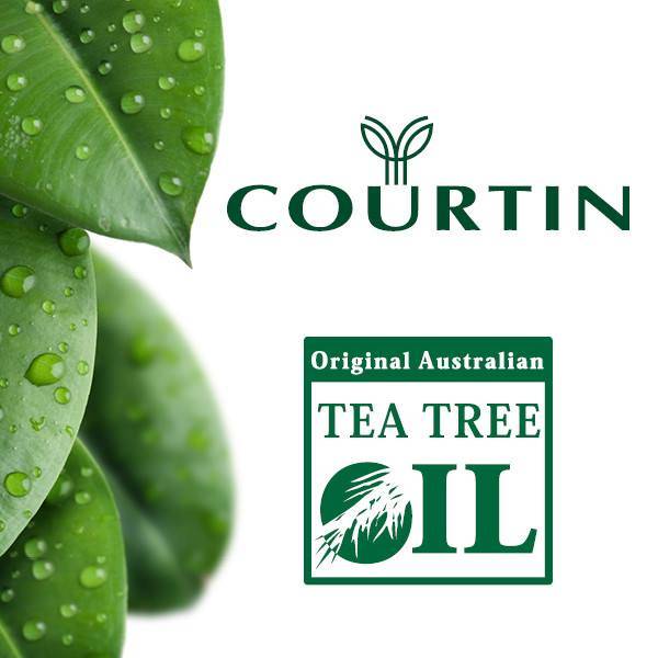 Courtin oil tree commercial